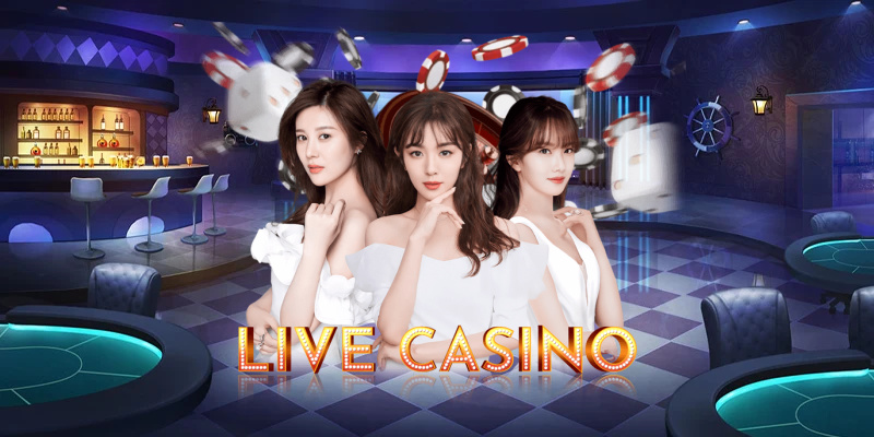 Cược theo đánh giá tỷ lệ kèo đá gà MB88