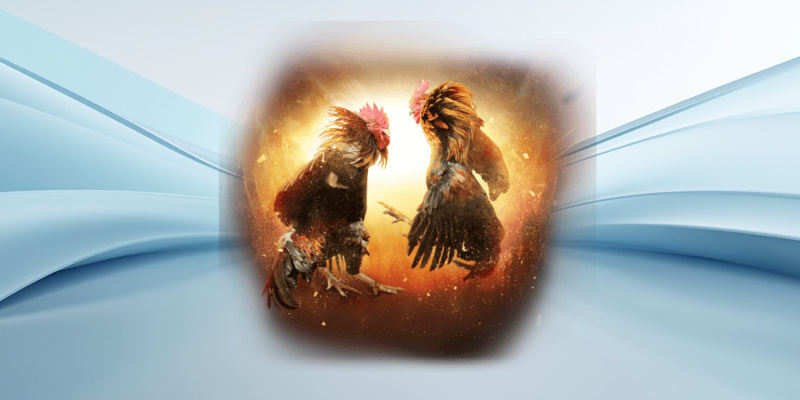 Chi tiết về đá gà nòi cựa sắt