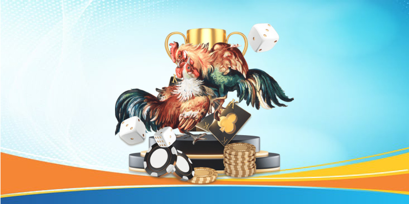 Các chiến kê được dùng trong trận đá gà