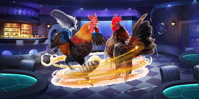 Mẹo chọn gà chiến hữu ích cho tân binh