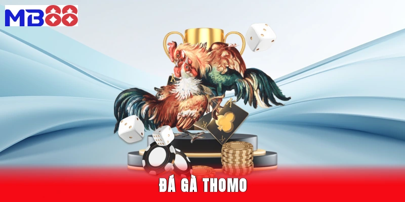 đá gà thomo