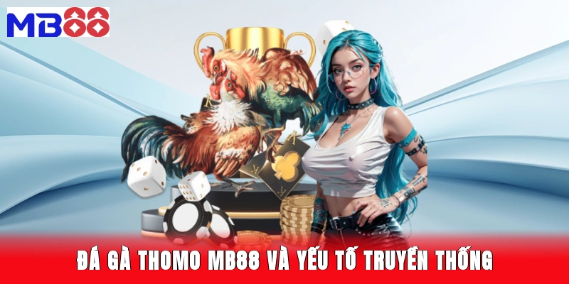 Đá gà Thomo MB88 và yếu tố truyền thống